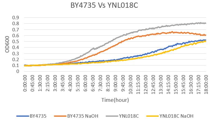 YNL vs WT.jpg