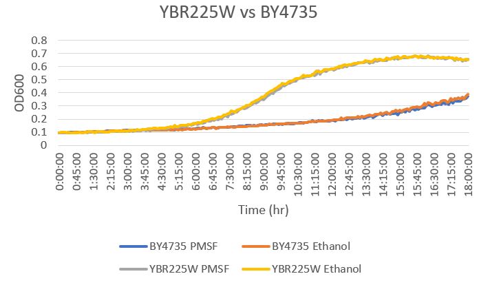 YBR225W vs Wild type.jpg