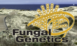 fungalgenetics2015.png