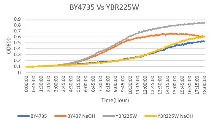YBR VS WT.jpg