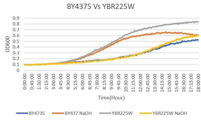 YBR225W VS WT.jpg
