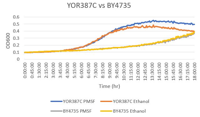 YOR387C vs Wild type.jpg