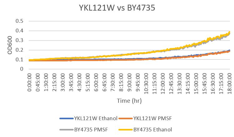 YKL121W vs Wild type.jpg
