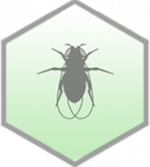 alliance logo flybase.png