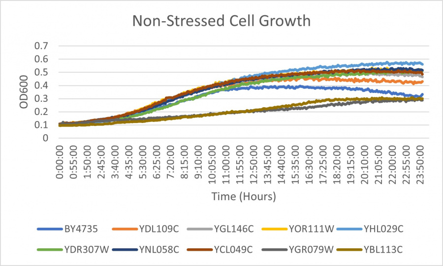 nonstressed.jpg