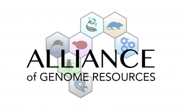 alliance logo.png
