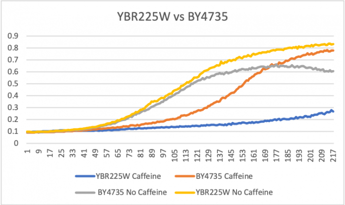 YBR225W graph.png