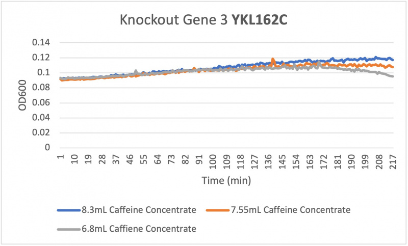 File:KnockoutGene3.jpg