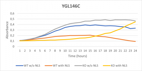 YGL146C.png