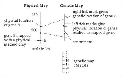 Map.jpg