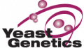 Yeast Genetics Logo.png