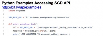 sgd-api-access-thumbnail2.jpg